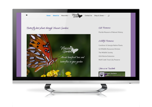 ecommerce website design Vincent Gardens